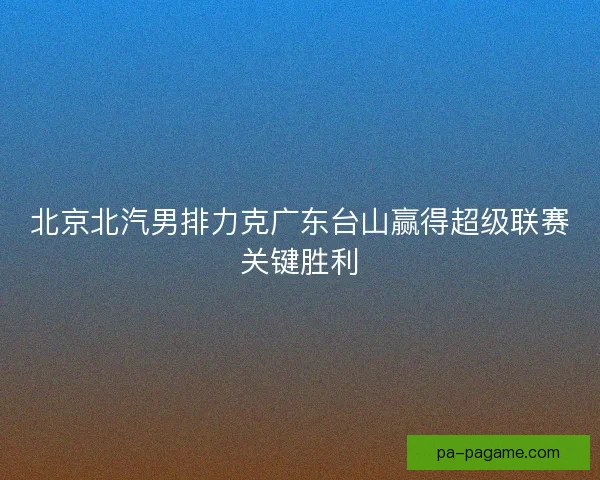 北京北汽男排力克广东台山赢得超级联赛关键胜利
