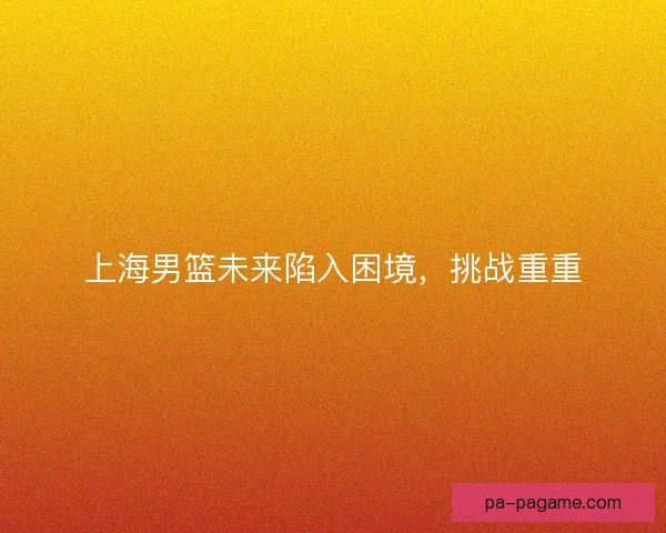 上海男篮未来陷入困境，挑战重重