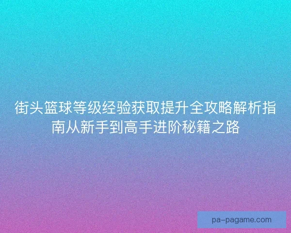 街头篮球等级经验获取提升全攻略解析指南从新手到高手进阶秘籍之路